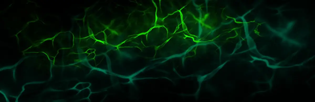 Paranormal Detective: Escape from the 80’s