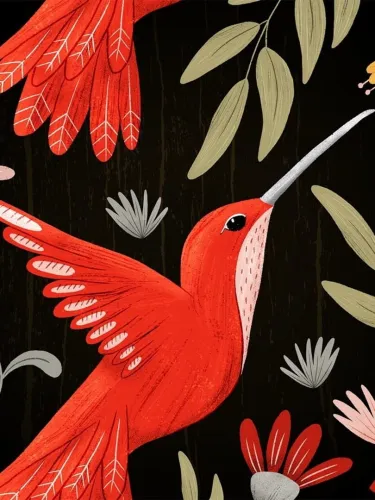 Portada de Patterned