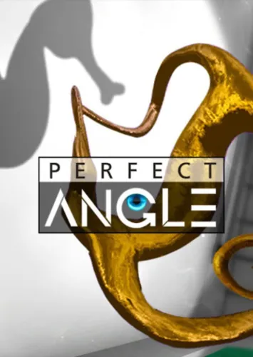 Portada de Perfect Angle