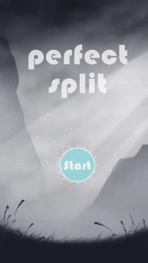Portada de Perfect Split