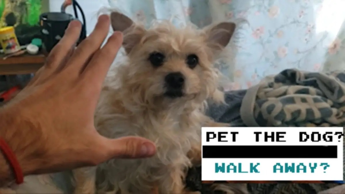 Portada de Pet the Dog?