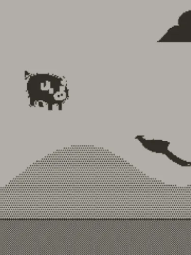 Portada de Pigs Can Fly