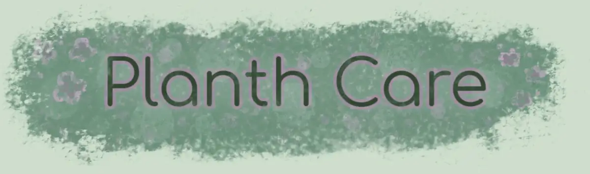 Portada de Planth Care