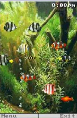 Portada de Pocket Aquarium