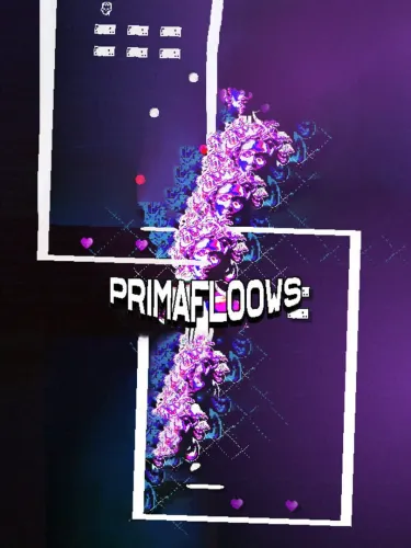 Portada de Primafloows