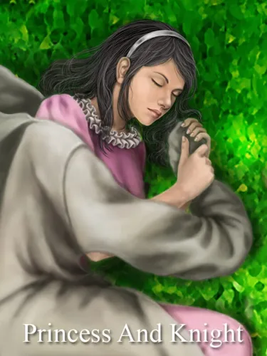 Portada de Princess and Knight