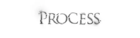 Portada de Process
