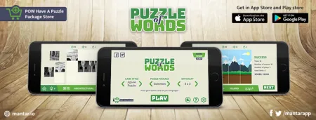 Portada de Puzzle of Words