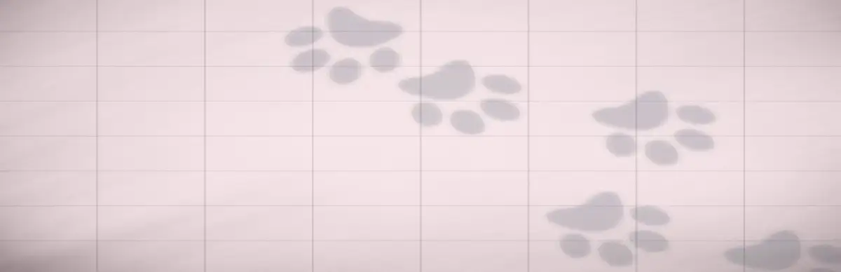 PuzzlePet: Feed Your Cat