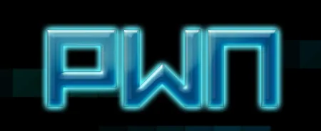 Portada de PWN: Combat Hacking