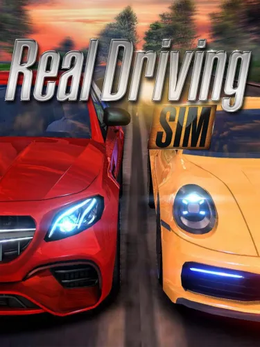 Portada de Real Driving Sim