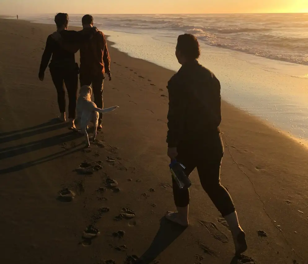 Portada de Recollection Gloaming