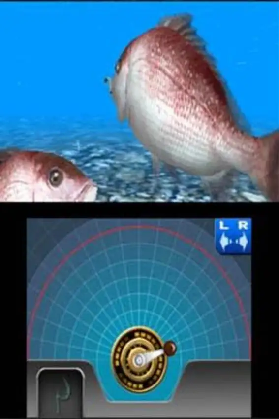 Portada de Reel Fishing 3D Paradise