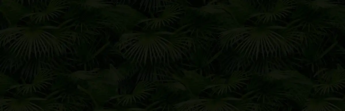 Remy Raccoon and the Lost Temple: Halloween Hijinks – Volume 2