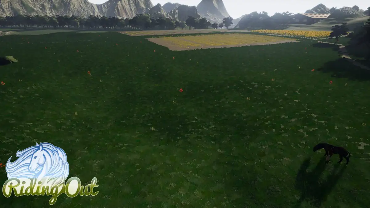 Portada de Riding Out