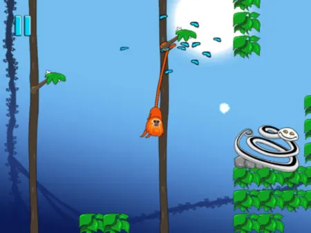 Portada de Rin the Tamarin