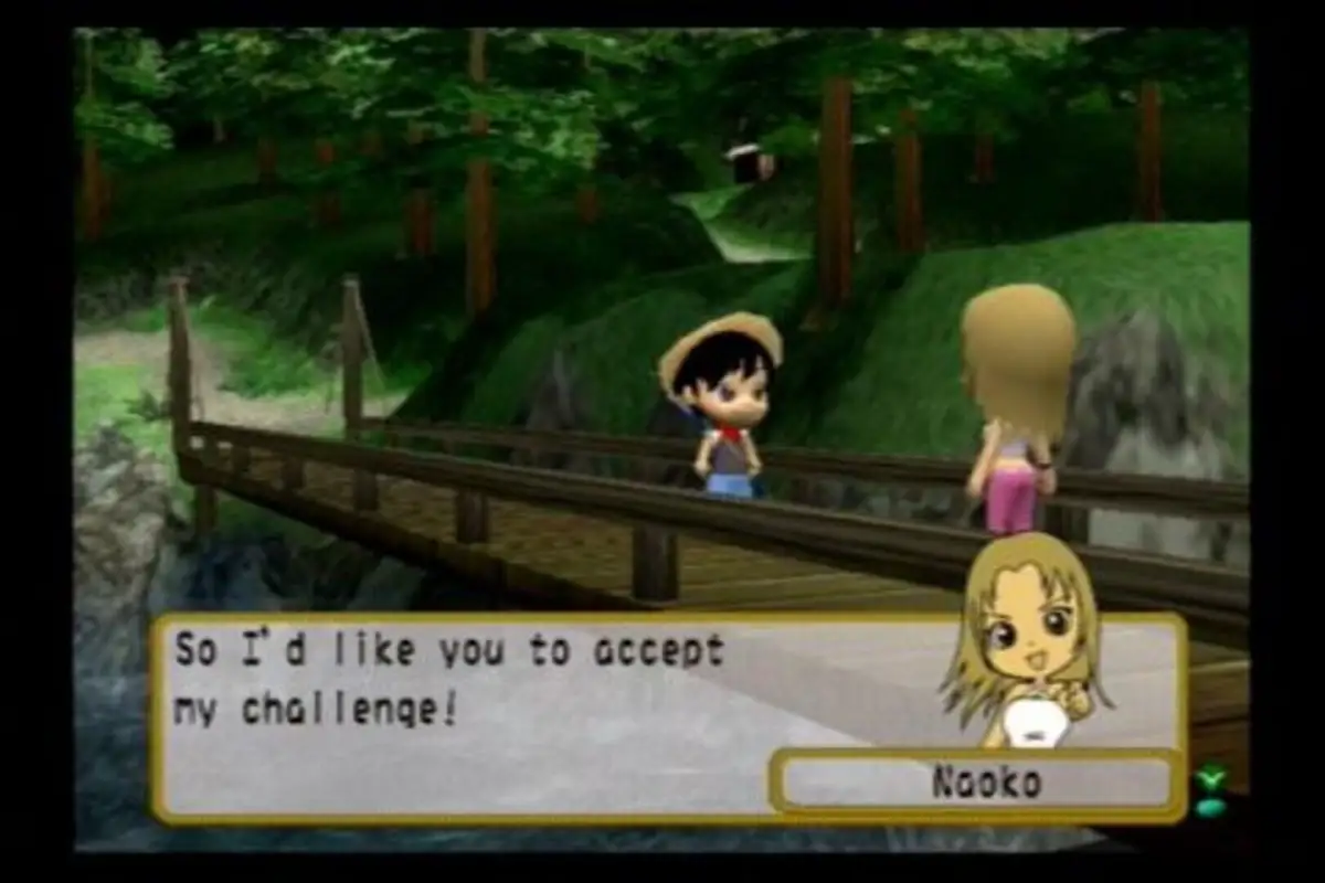 River King: A Wonderful Journey