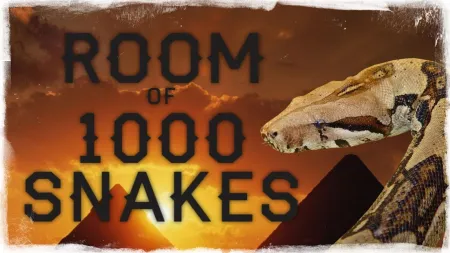Portada de Room of 1000 Snakes