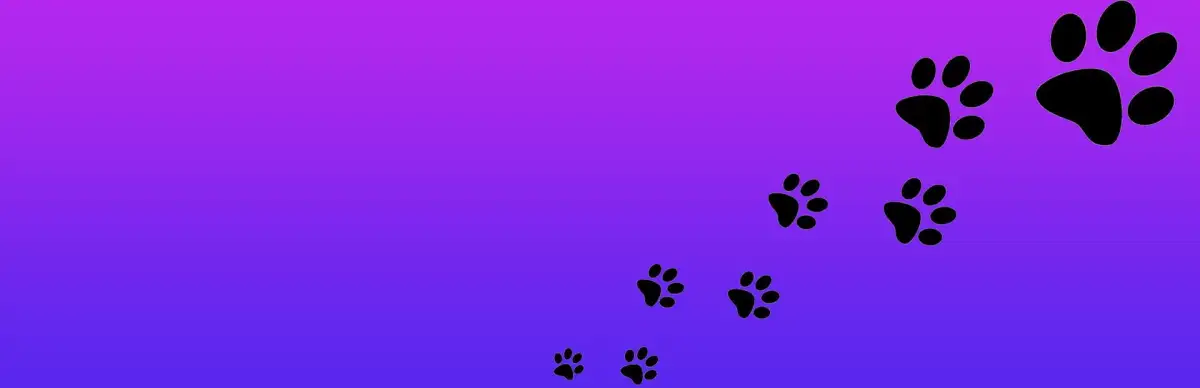 Roxy Raccoon’s Pinball Panic