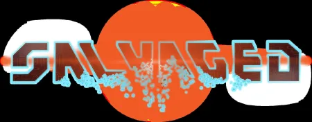 Portada de Salvaged