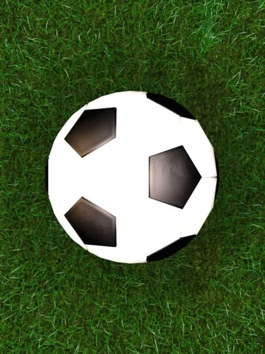 Portada de Score a goal 2 (Physical football)