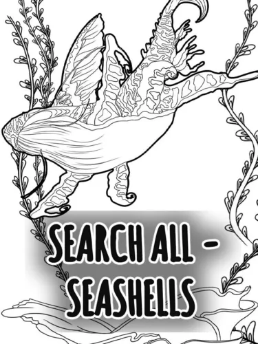 Portada de Search All: Seashells