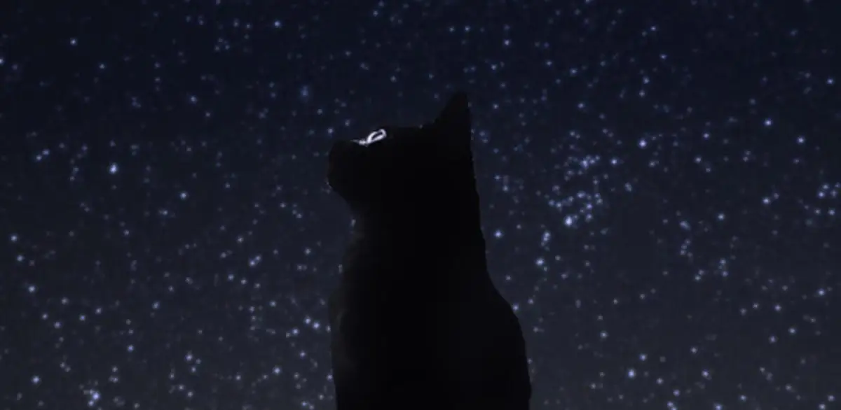 Portada de Seize the Night