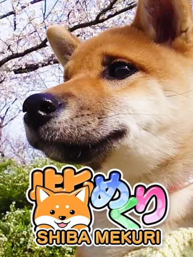 Portada de Shiba Mekuri