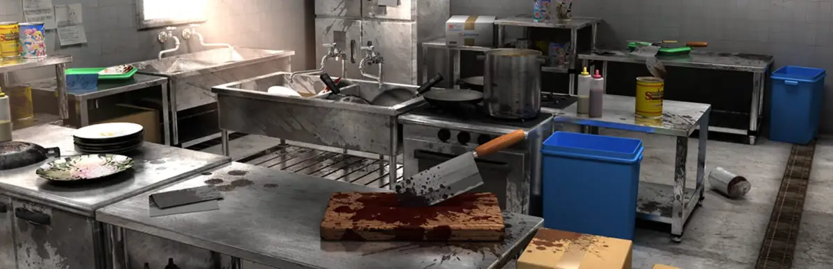 Shooting Chicken Insanity Chickens