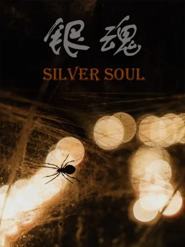 Portada de Silver Soul