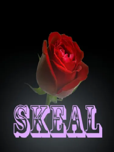 Portada de Skeal
