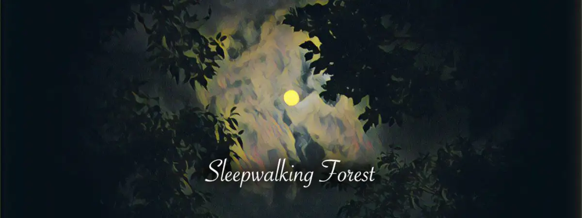 Portada de Sleepwalking Forest