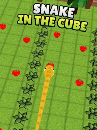 Portada de Snake in the Cube