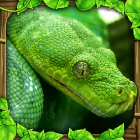 Portada de Snake Simulator