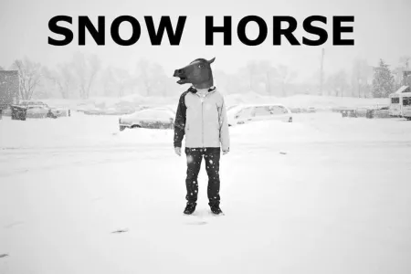 Portada de Snow Horse