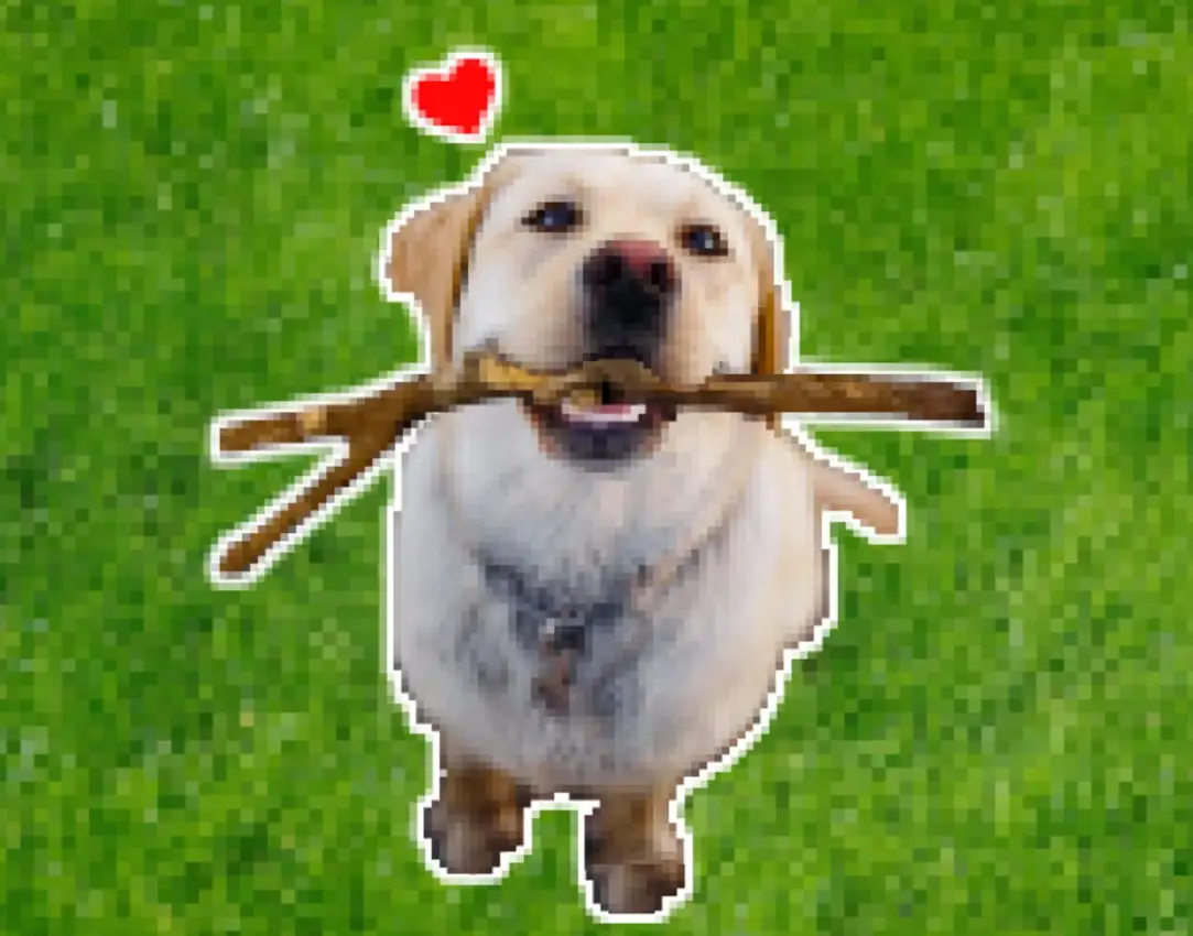 Portada de Stick or Stone?