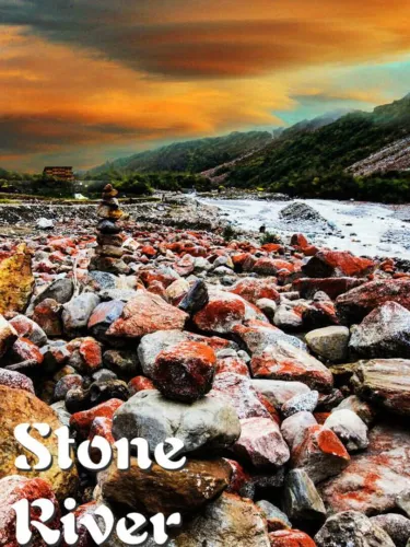 Portada de Stone River