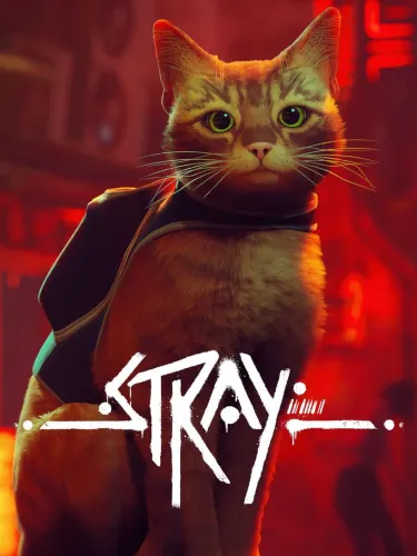 Portada de Stray