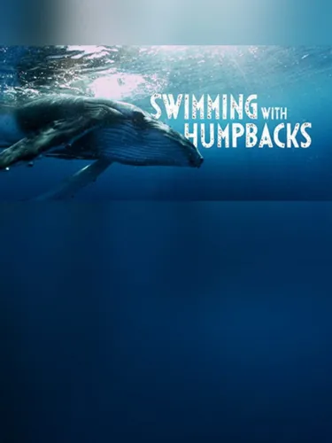 Portada de Swimming with Humpbacks