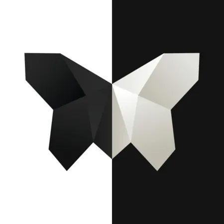 Portada de Symmetry: Path to Perfection