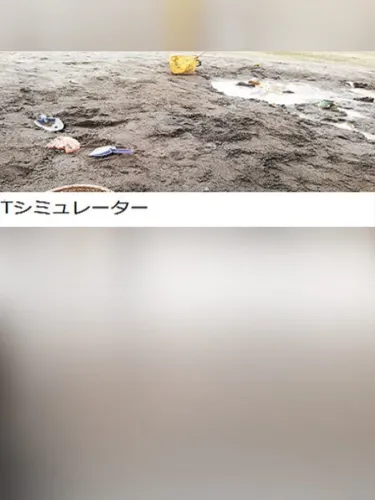 Portada de T Simulator