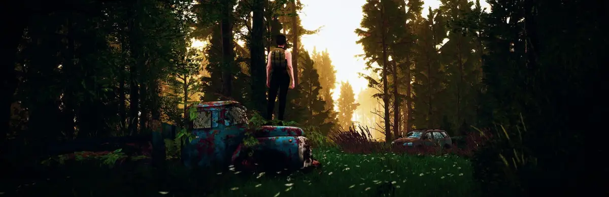 Tales from the Cache