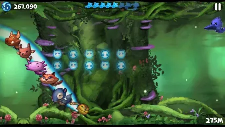 Portada de Tanuki Forest