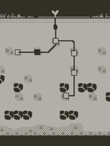 Portada de Tender Root