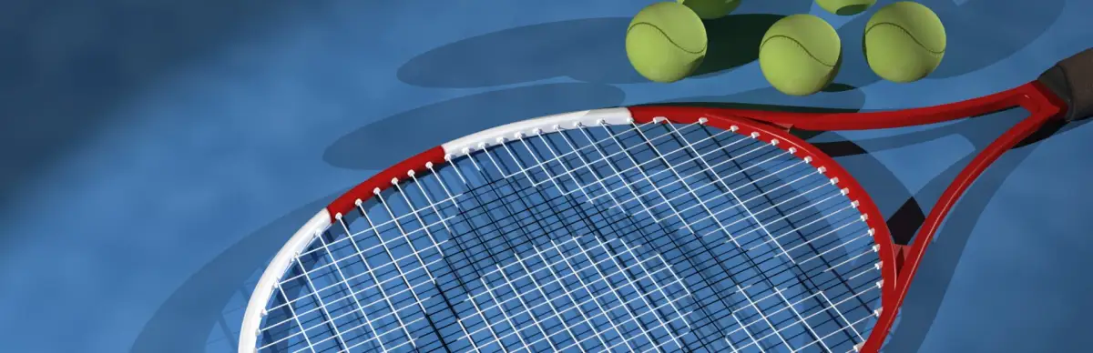 Portada de Tennis. Amazing tournament