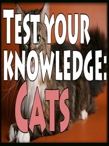 Portada de Test Your Knowledge: Cats