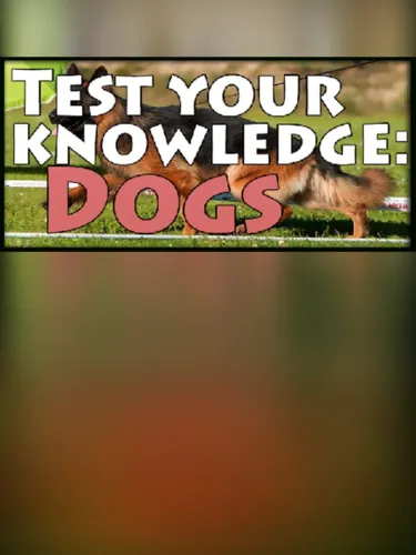 Portada de Test your knowledge: Dogs