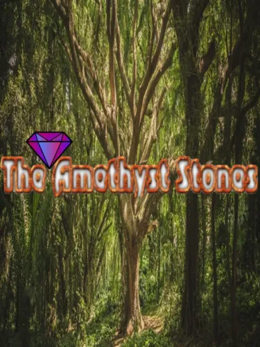 Portada de The Amethyst Stones