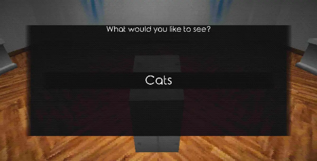 The Anything Gallery