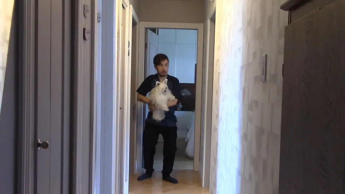 The Area 51 Secret: Boombox Killer